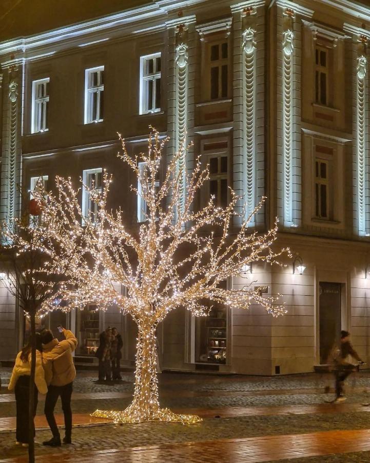 Central Luxury Home Timişoara Exterior foto
